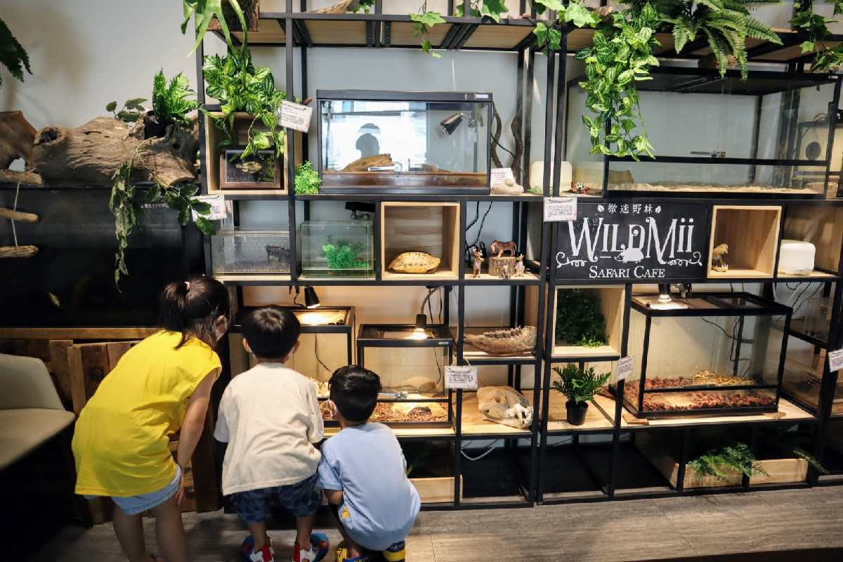 新竹微迷野林咖啡廳，近距離與變色龍互動，小朋友最愛的親子餐廳