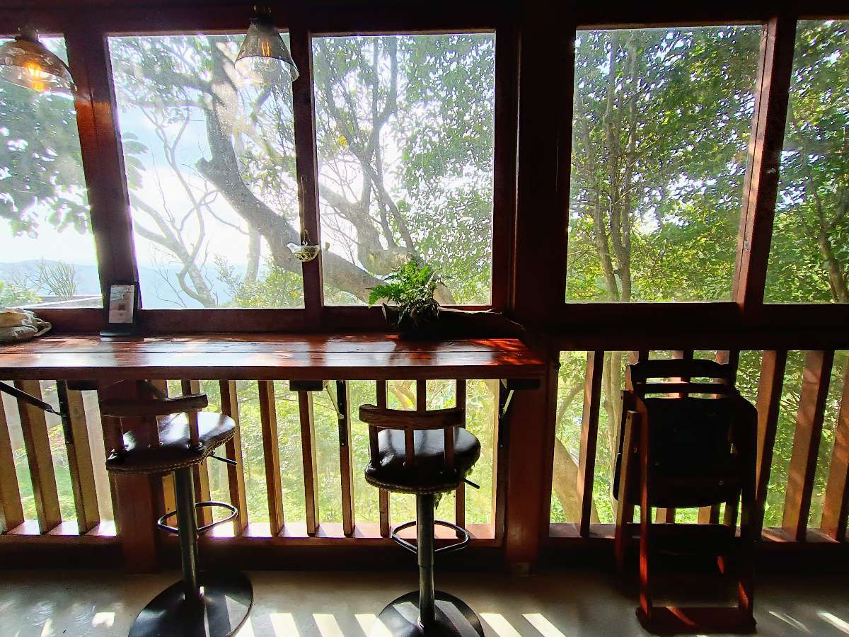 【桃園咖啡廳】霖咖啡,森林秘境咖啡,享受被樹林微風包圍的下午茶
