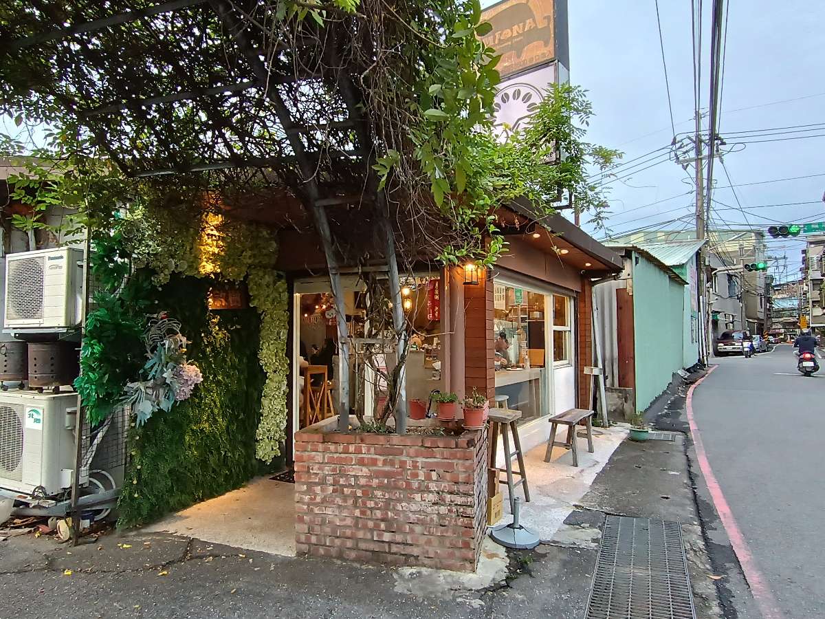 【新北咖啡廳】敘樹咖啡，有貓咪的老宅咖啡廳，被綠植包圍的秘境